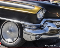 TSR Watermark - 0542